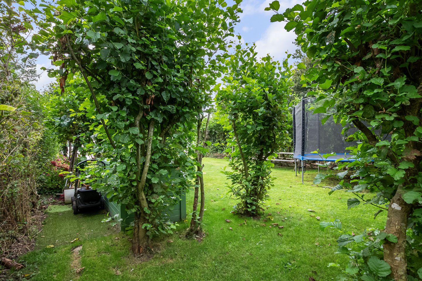 Foto 19 van Oudeweg recreatieperceel 1103