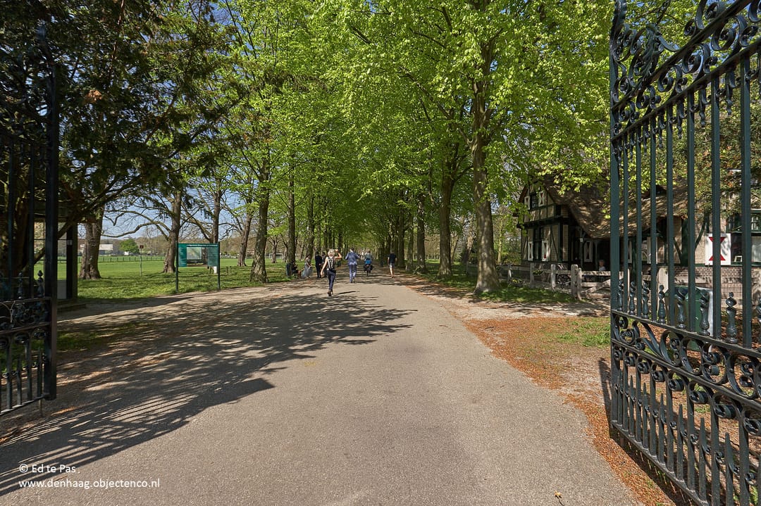 Foto 41 van Hart Nibbrigkade 85