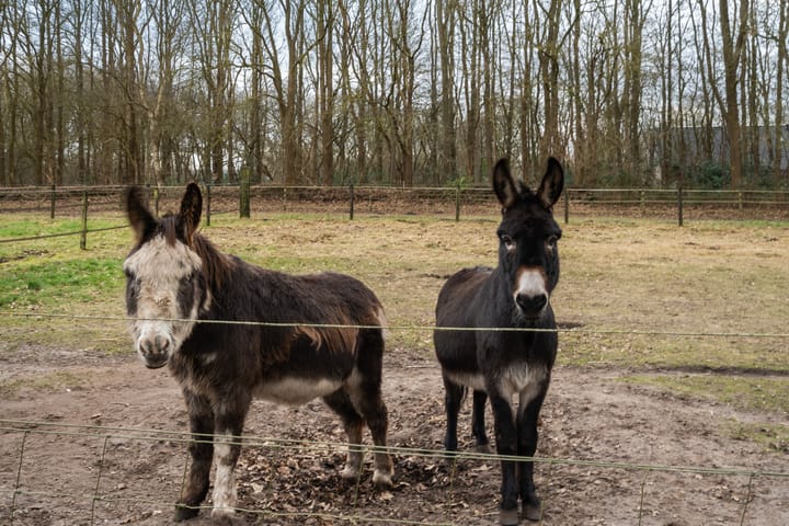 Foto 29 van Hullenzandweg 18