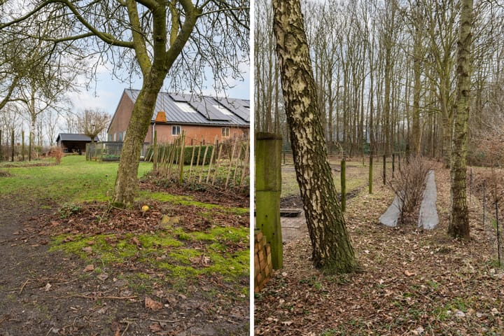 Foto 38 van Hullenzandweg 18