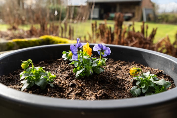 Foto 59 van Hullenzandweg 18