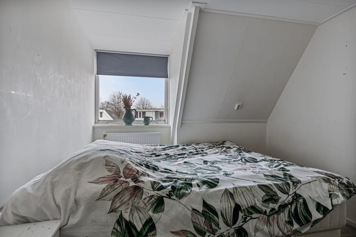 Foto 10 van Professor Schotanusstraat 3