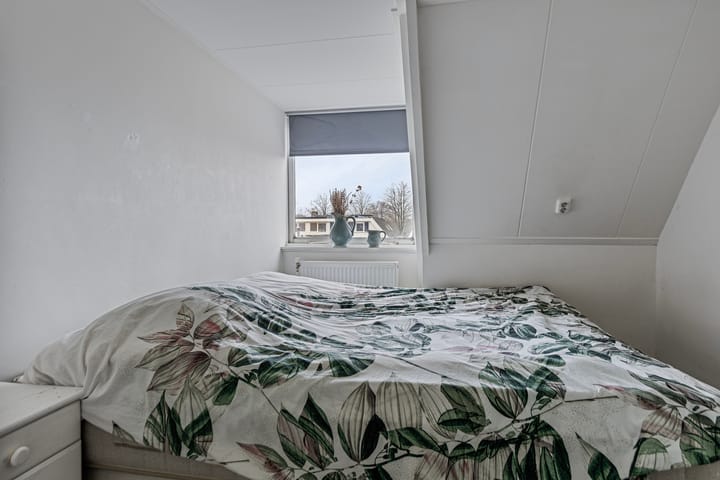 Foto 11 van Professor Schotanusstraat 3