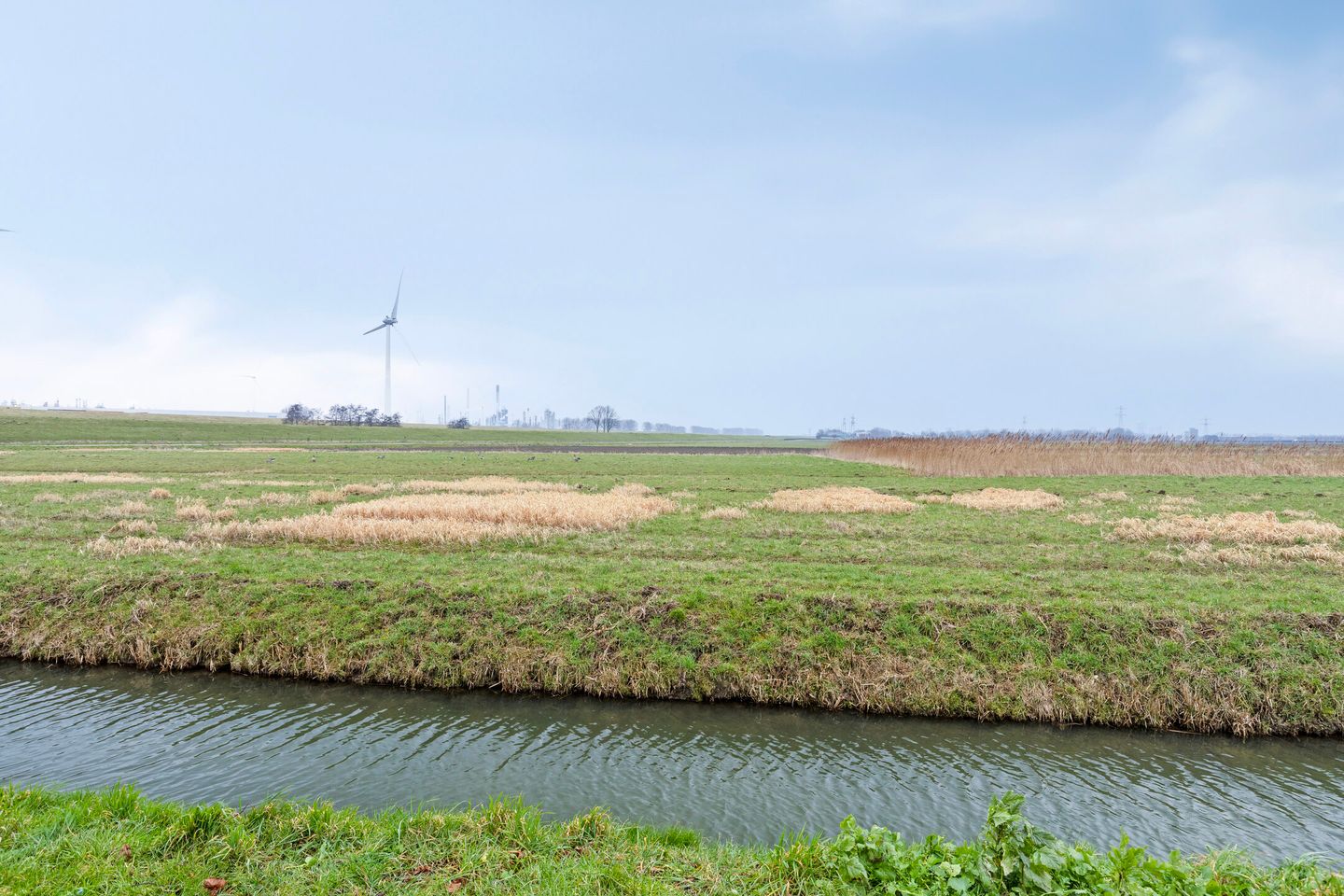 Photo 29 of Polderlaan 48