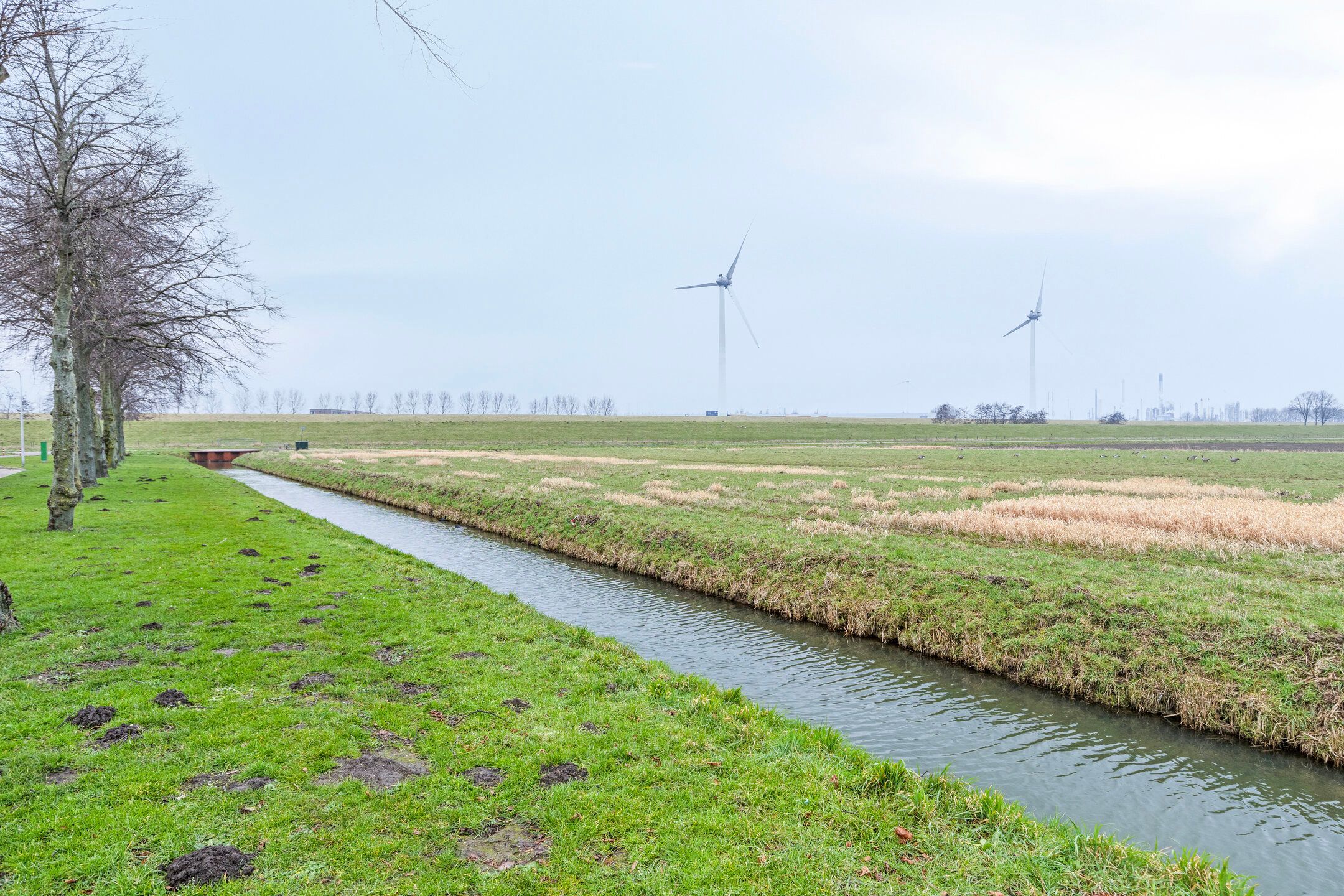 Photo 30 of Polderlaan 48