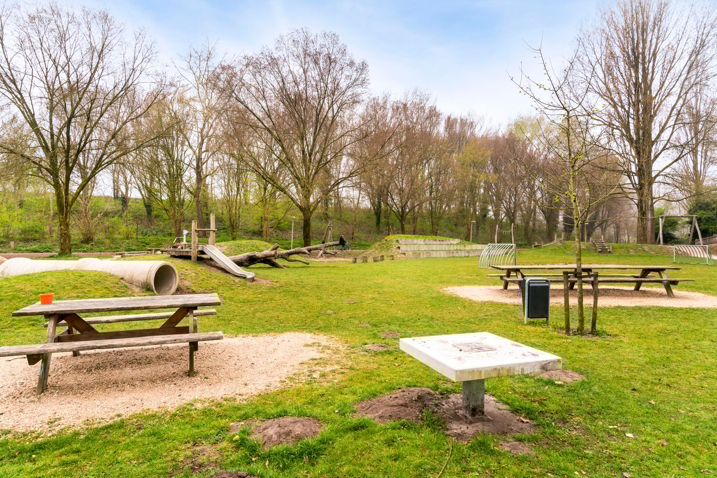 Photo 25 of Maanzaaderf 24