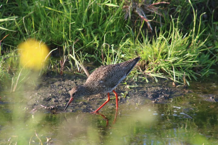 Foto 15 van Sluisstraat 1-A