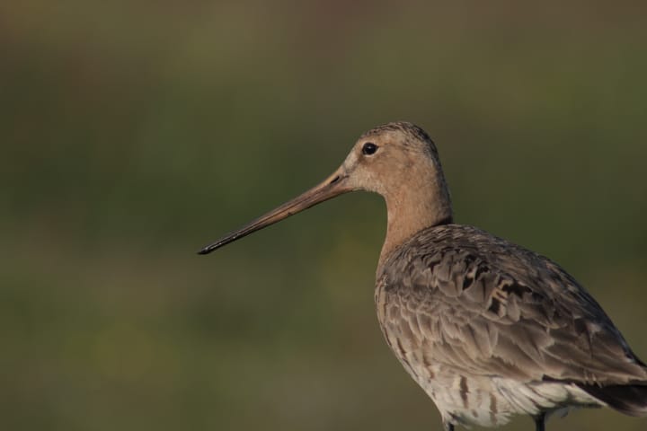 Foto 15 van Sluisstraat 1-C