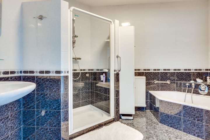 Foto 21 van Fazant 29