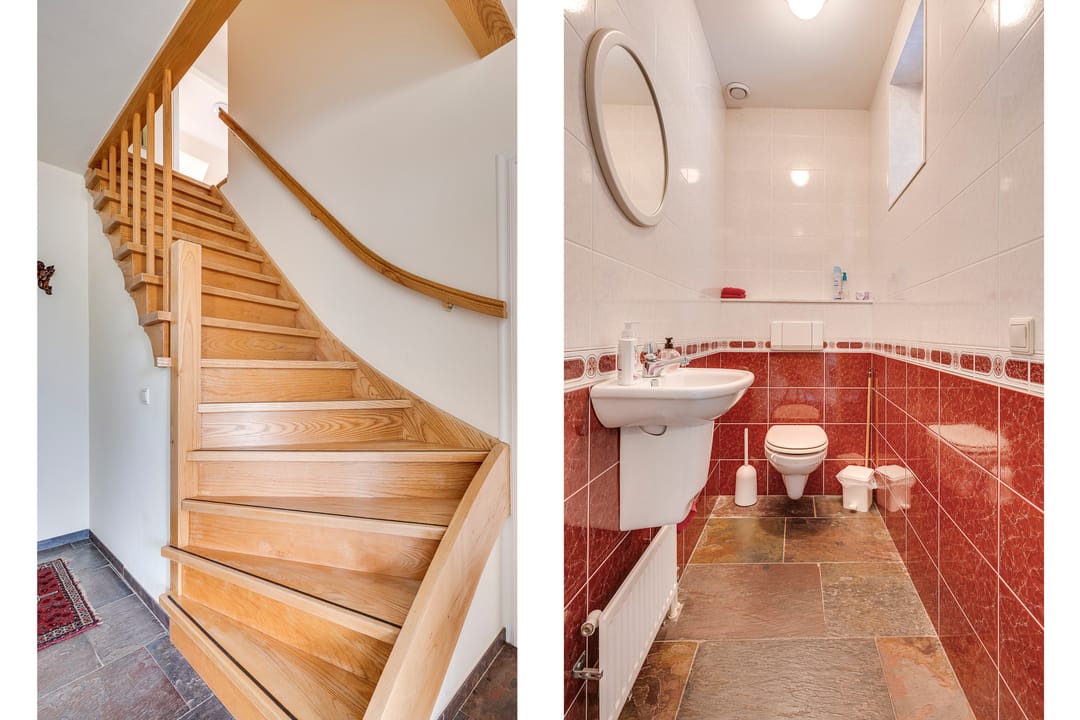 Photo 22 of Fazant 29