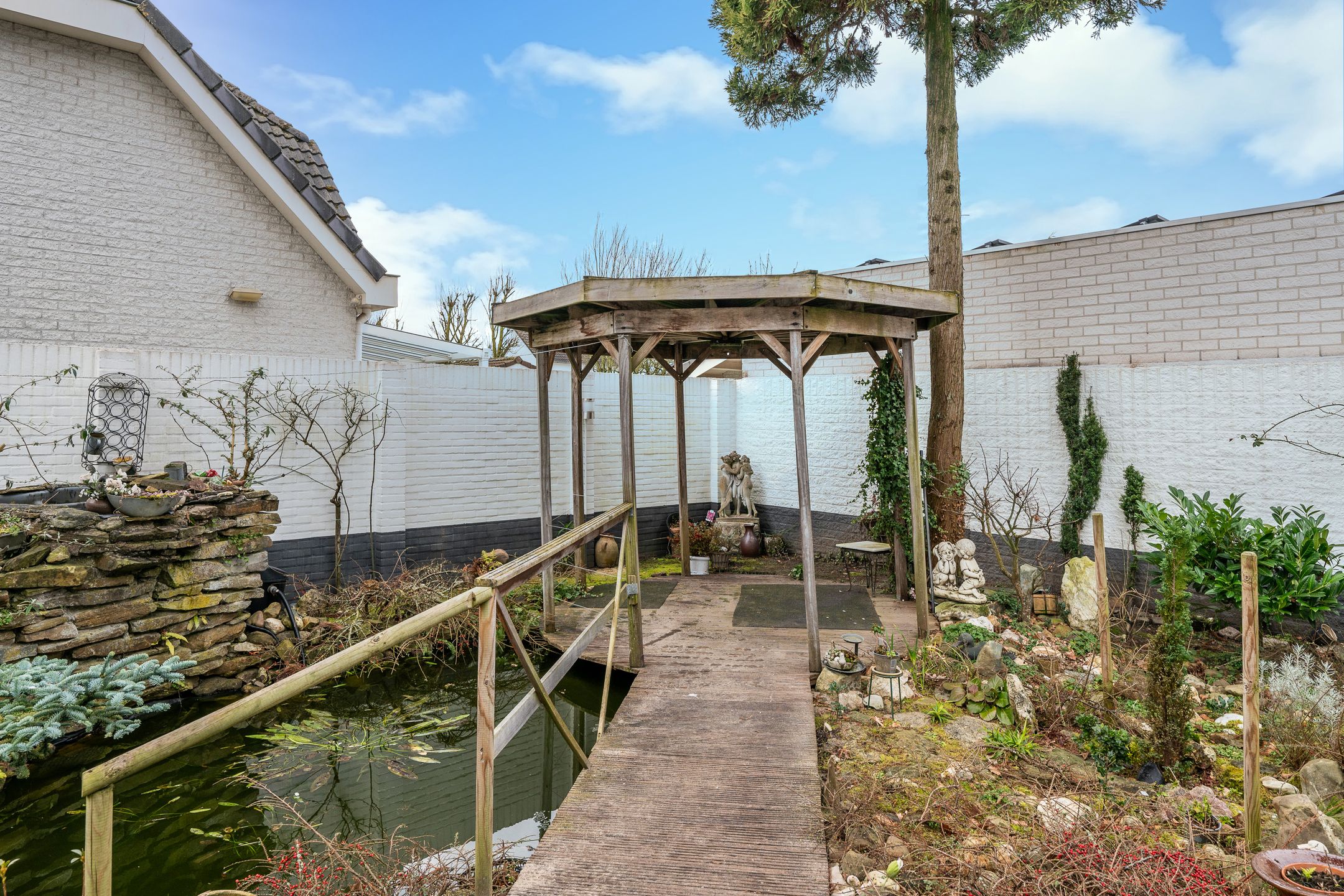 Photo 3 of Fazant 29