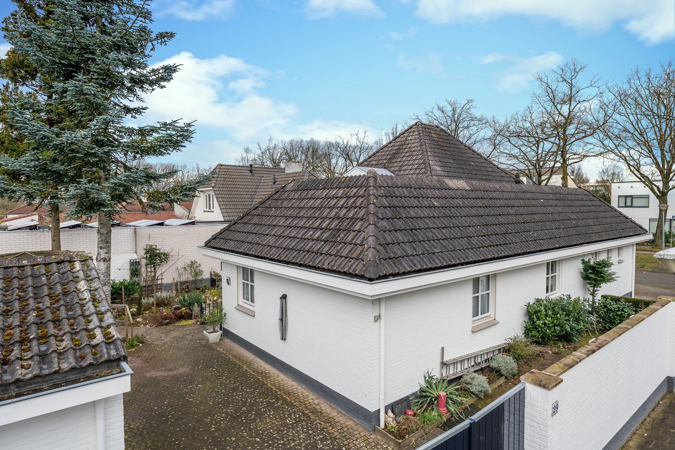 Photo 42 of Fazant 29