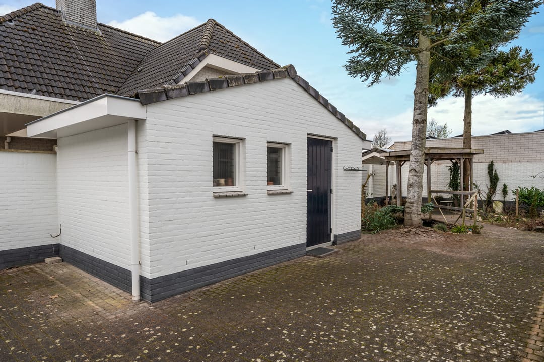 Photo 43 of Fazant 29