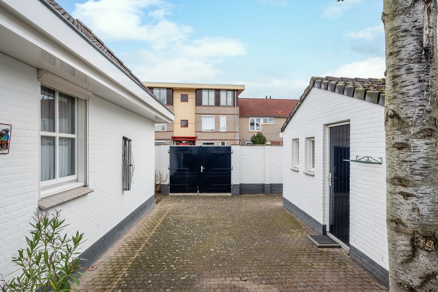 Photo 44 of Fazant 29