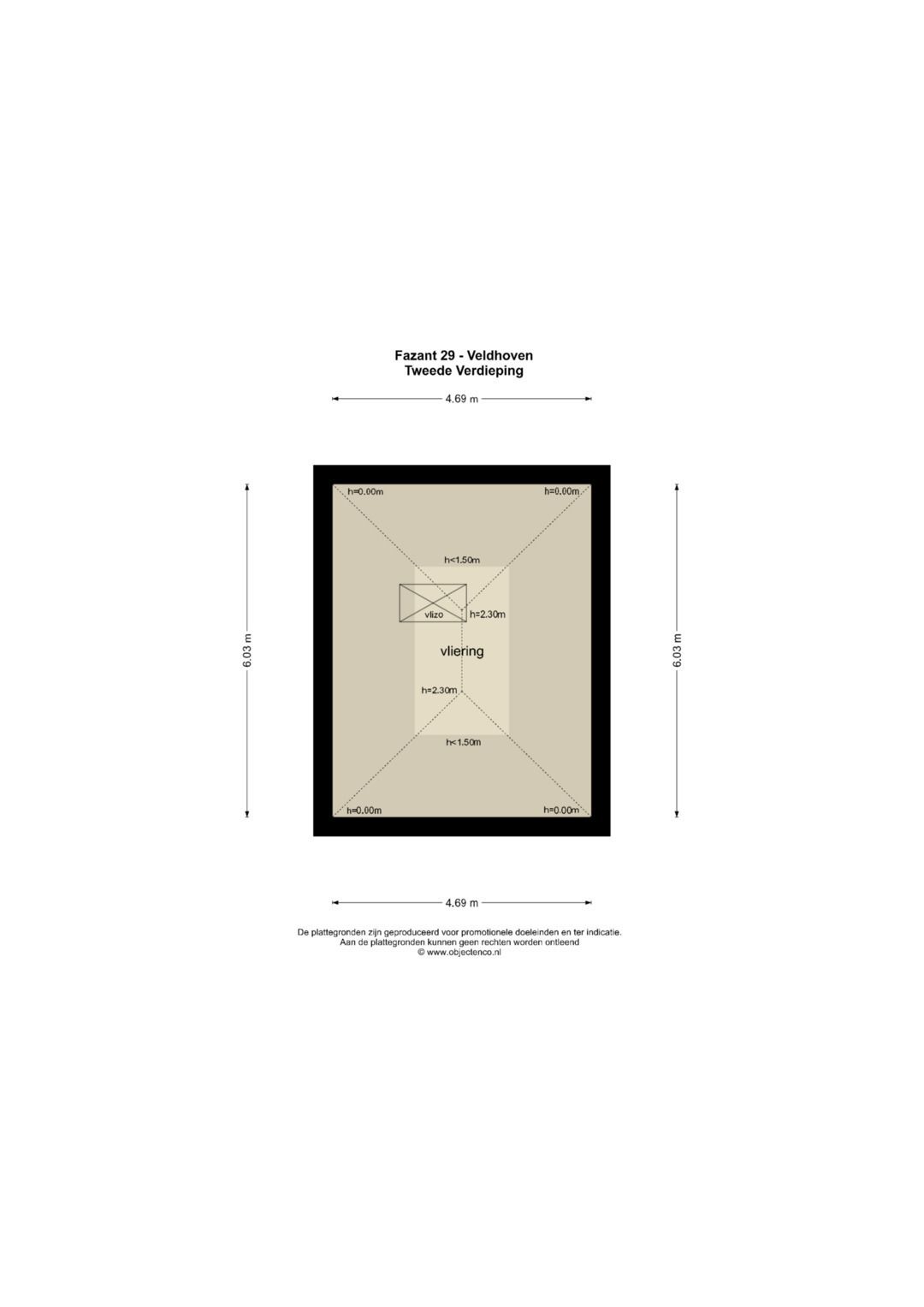 Photo 53 of Fazant 29