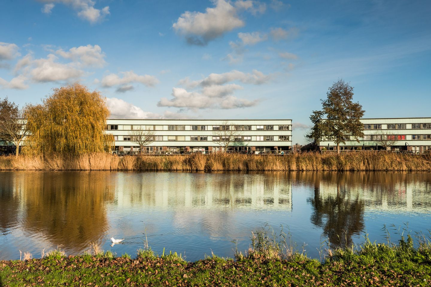 Foto 44 van Renoirstraat 188