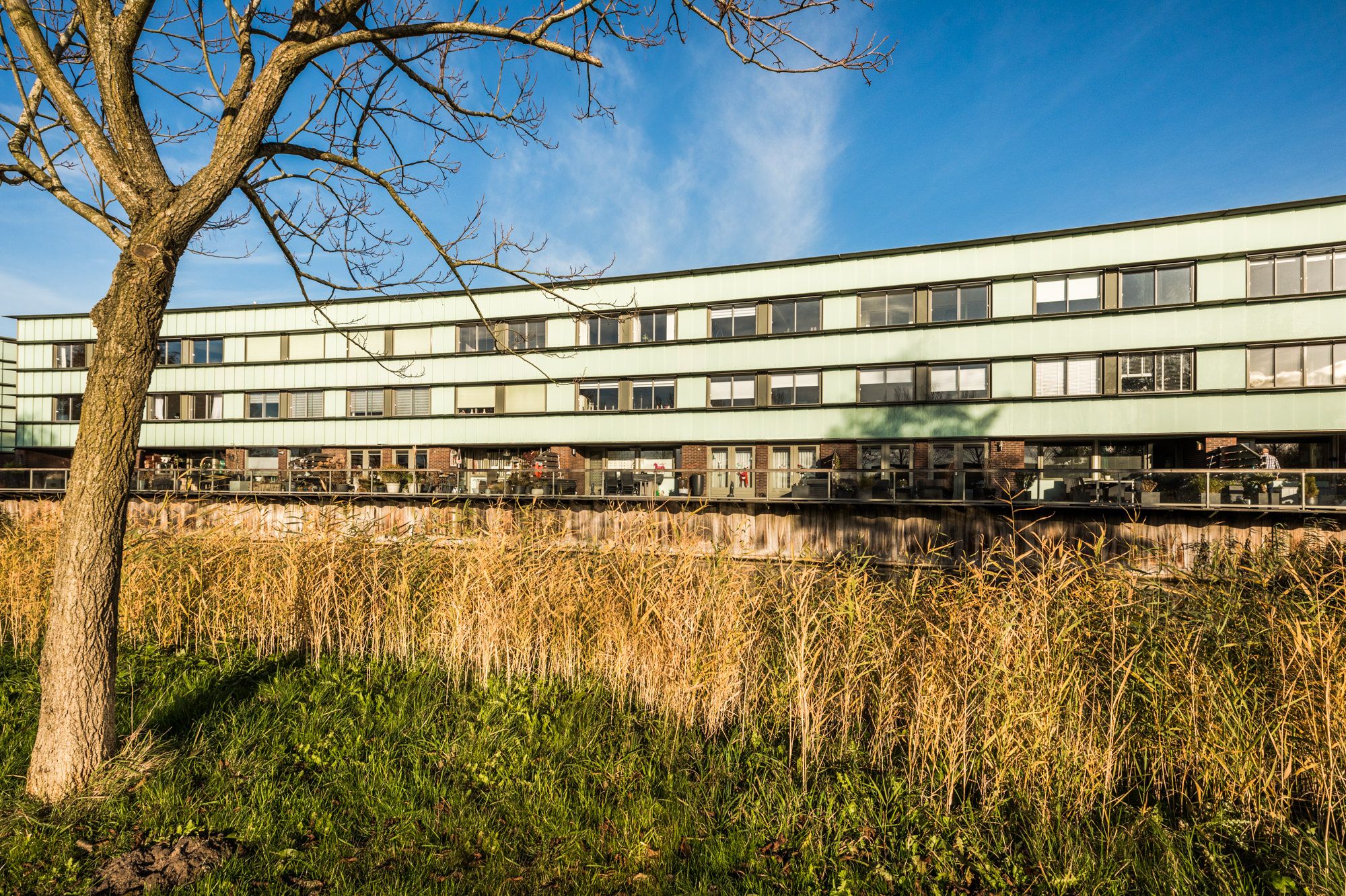 Foto 48 van Renoirstraat 188