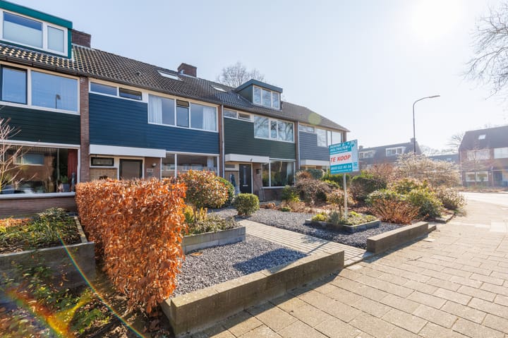 Foto 29 van Schoutenveld 323