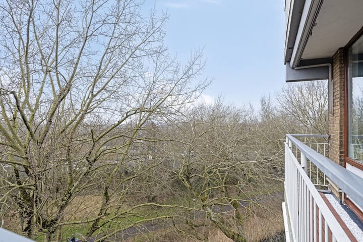 Foto 25 van Zernikelaan 650