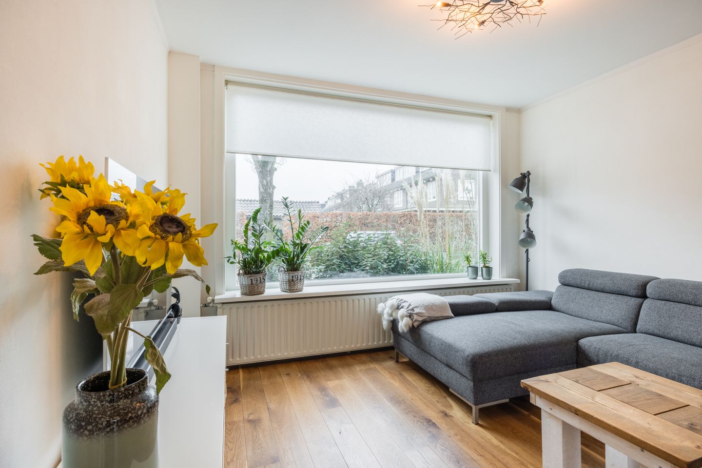 Foto 10 van Louise de Colignylaan 4