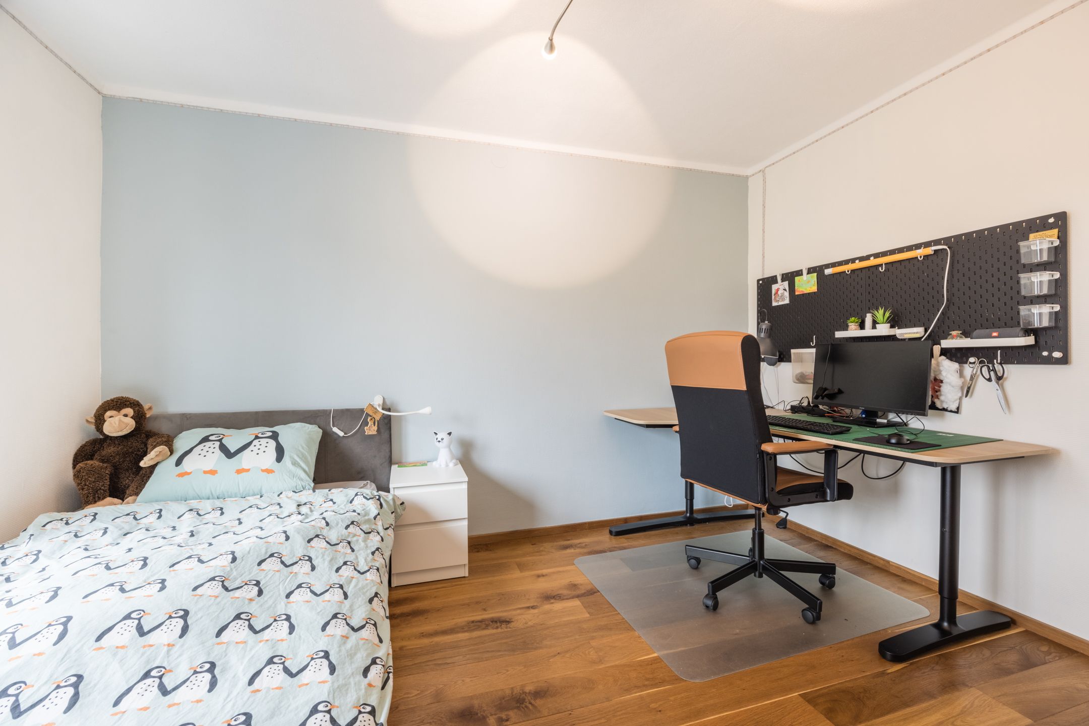 Foto 30 van Louise de Colignylaan 4