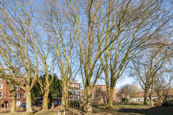 Foto 45 van Dr. de Visserstraat 24-B01