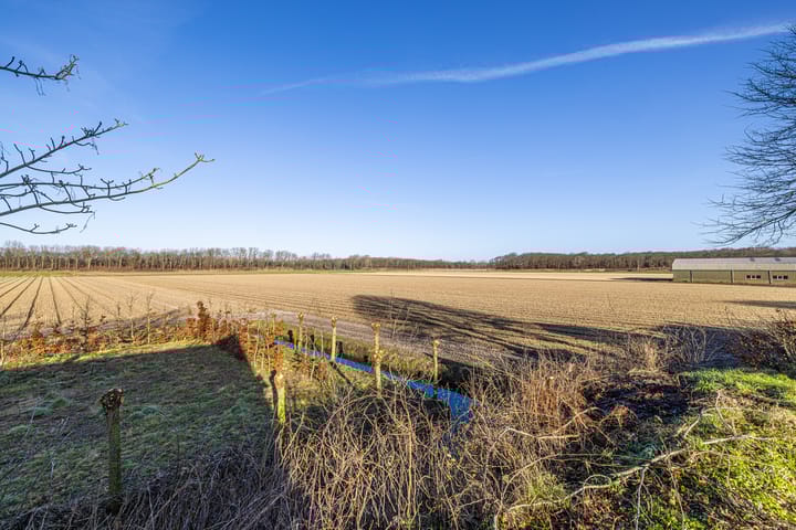 Foto 56 van Zilkerduinweg 349