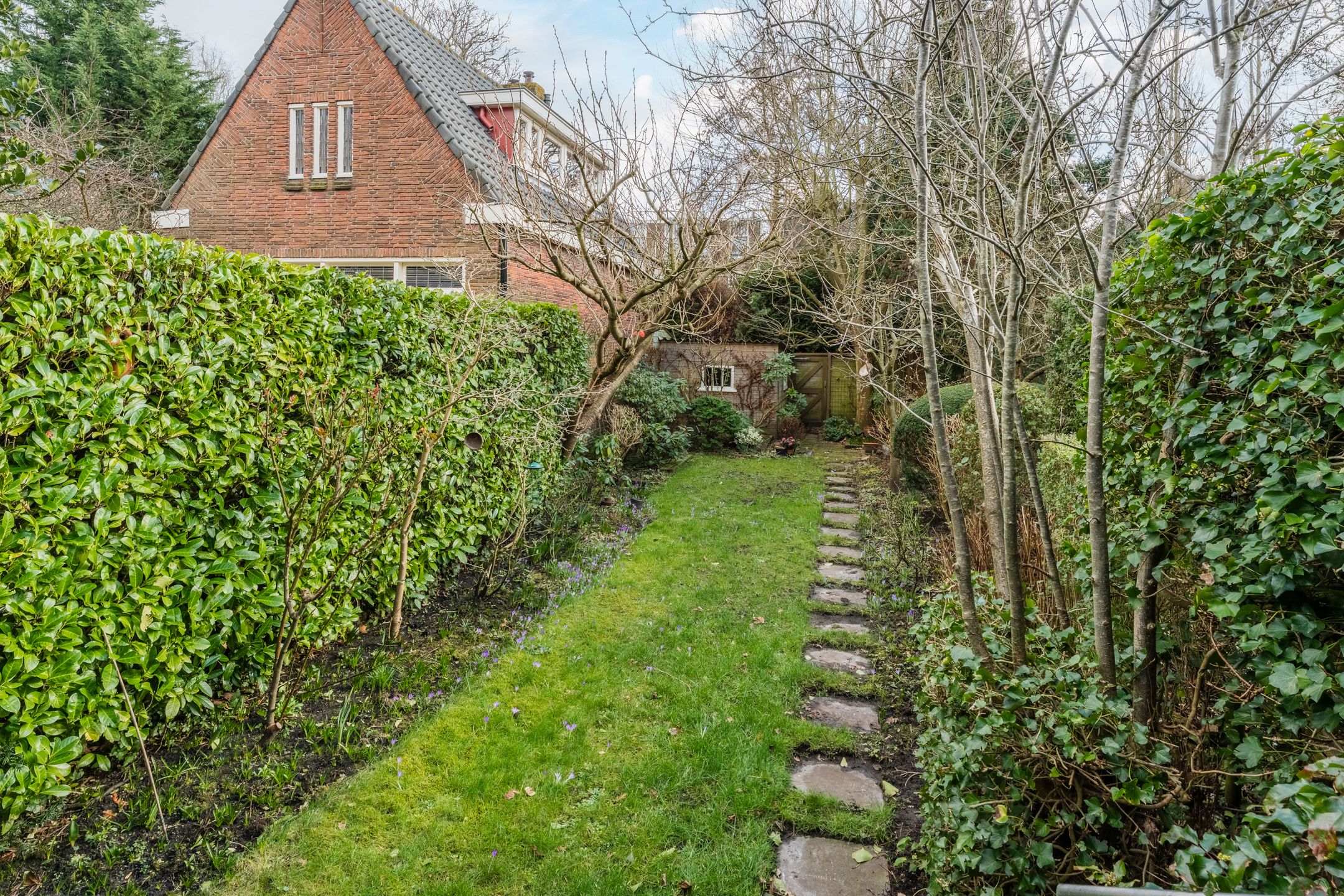 Foto 45 van Mariënpoelstraat 13