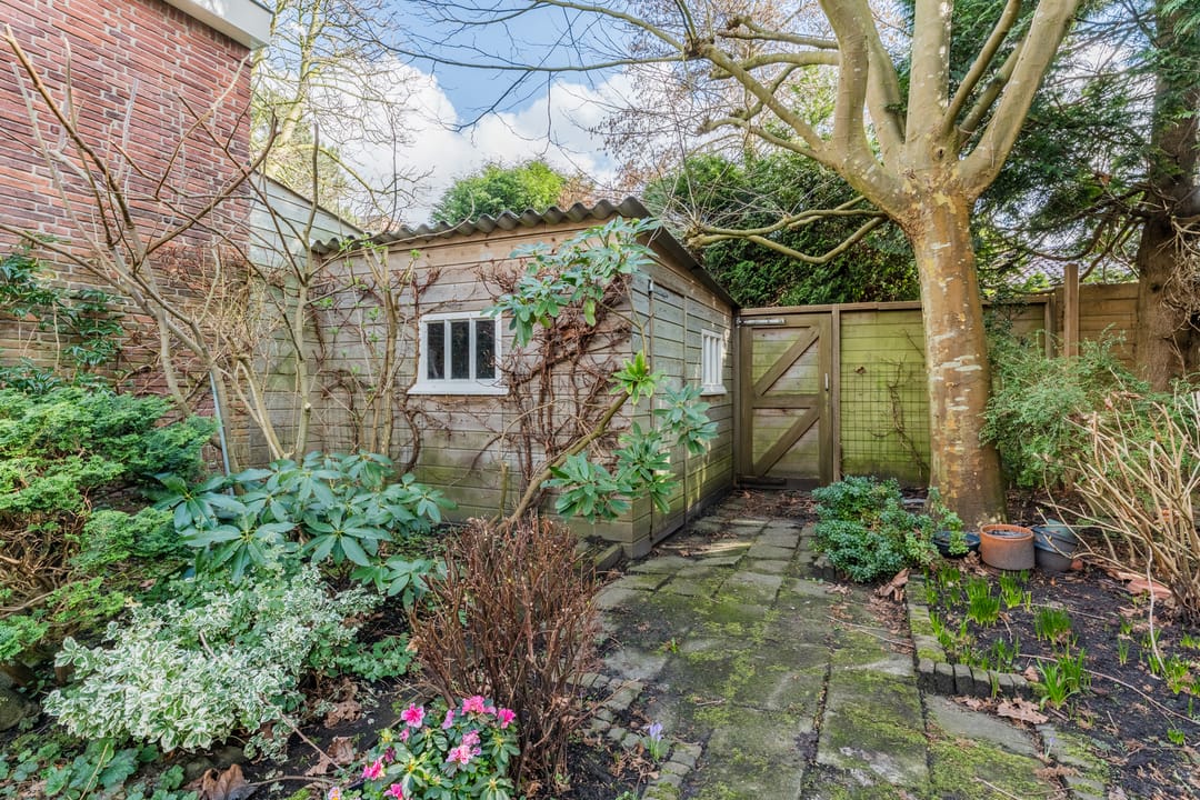 Foto 46 van Mariënpoelstraat 13