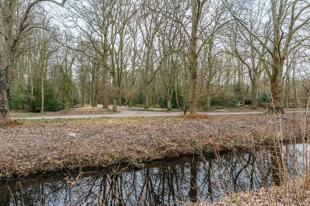 Foto 52 van Mariënpoelstraat 13