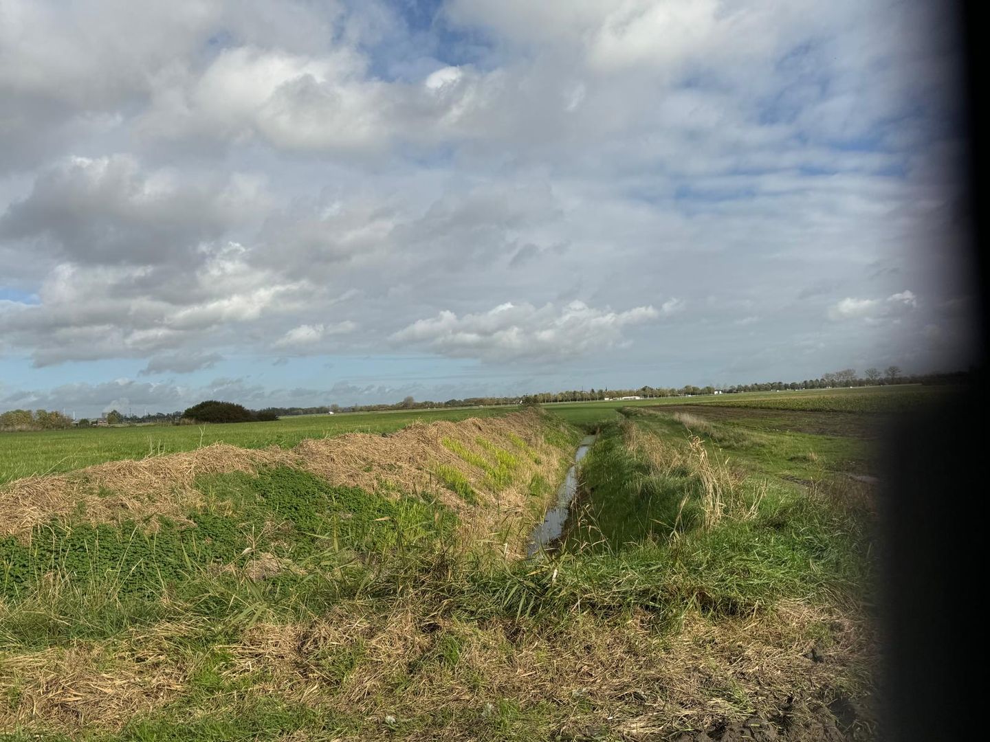 Zandplaatweg 1 - Hoek - Afbeelding 1
