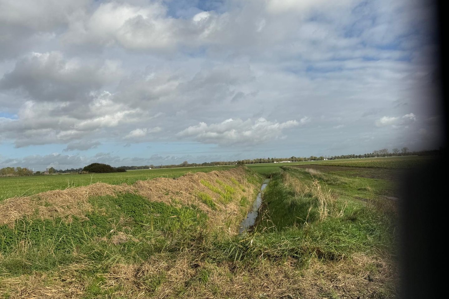 Bekijk foto 1 van Zandplaatweg 1