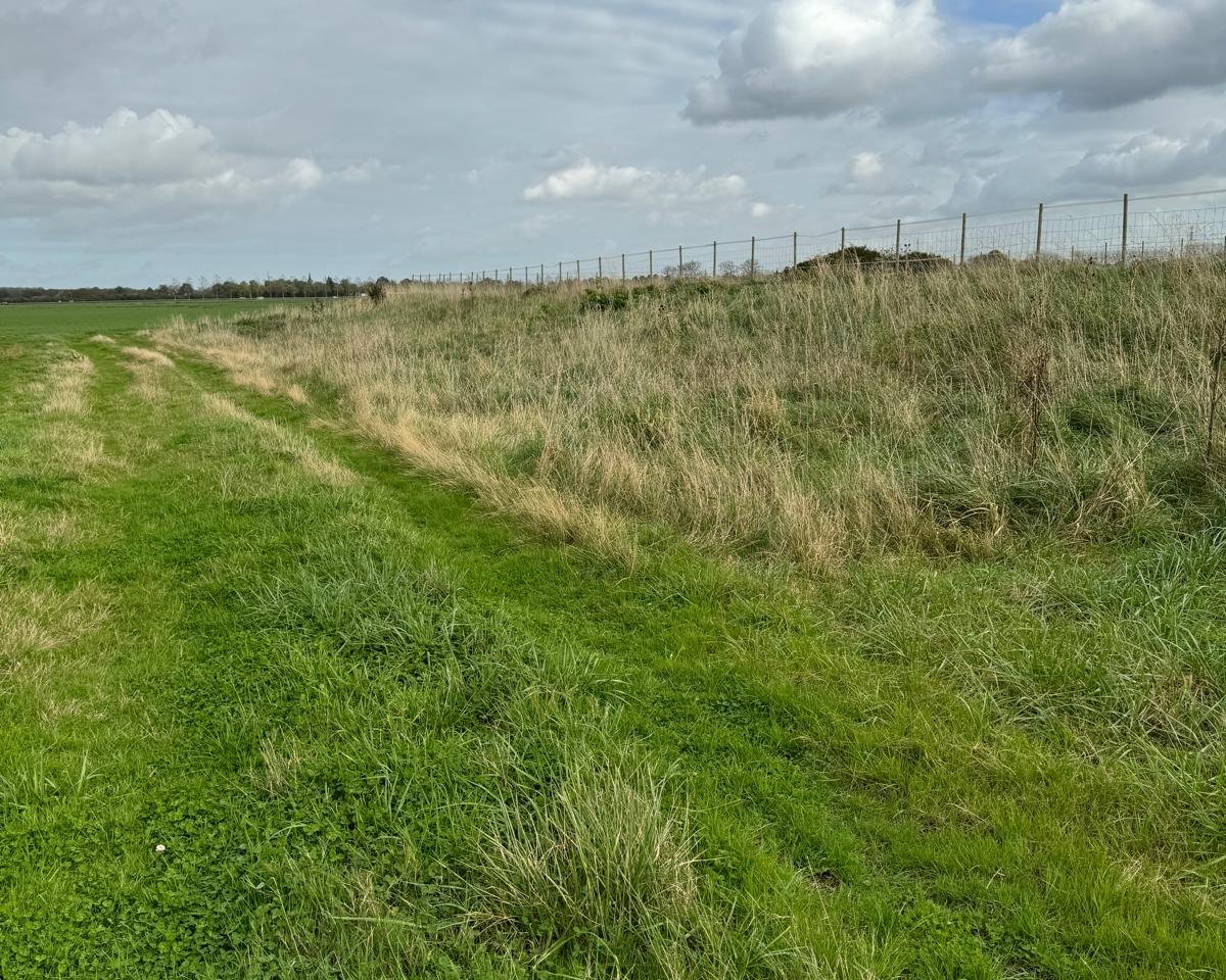 Bekijk foto 4 van Zandplaatweg 1