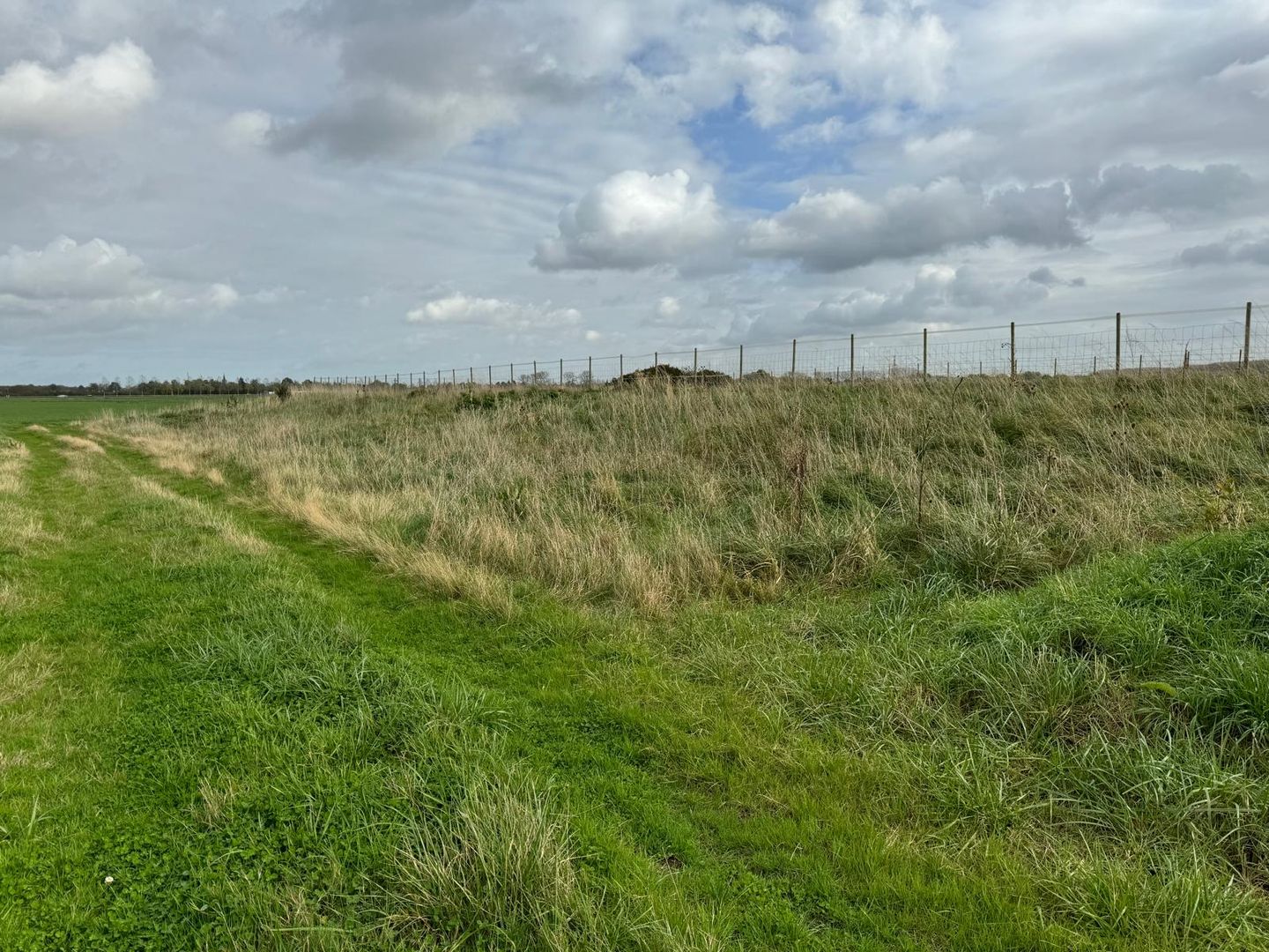 Zandplaatweg 1 - Hoek - Afbeelding 7