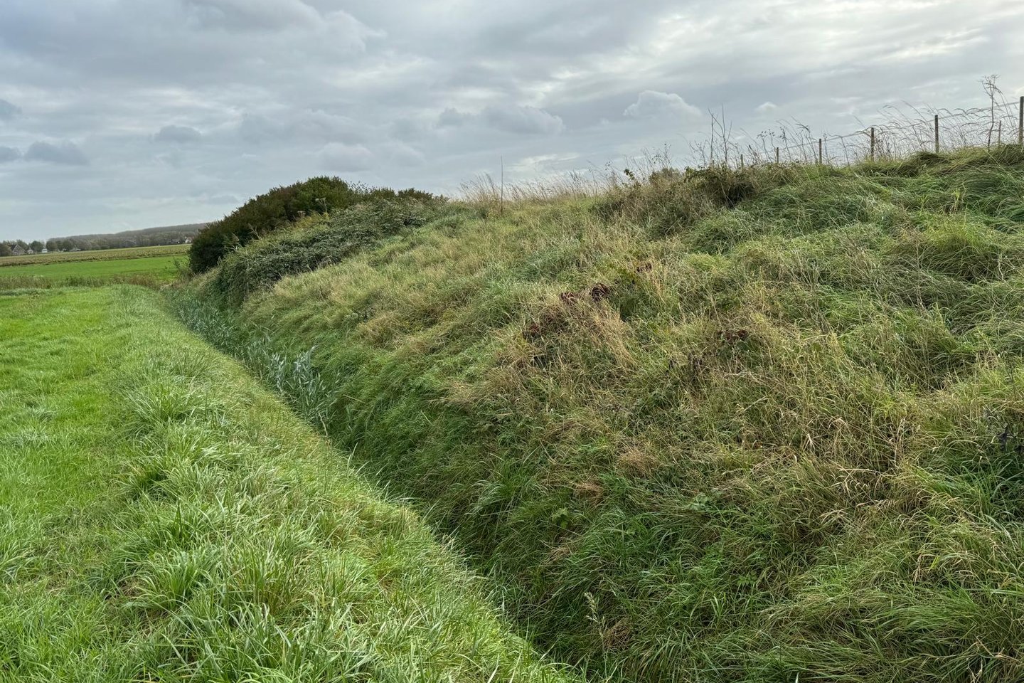 Bekijk foto 5 van Zandplaatweg 1