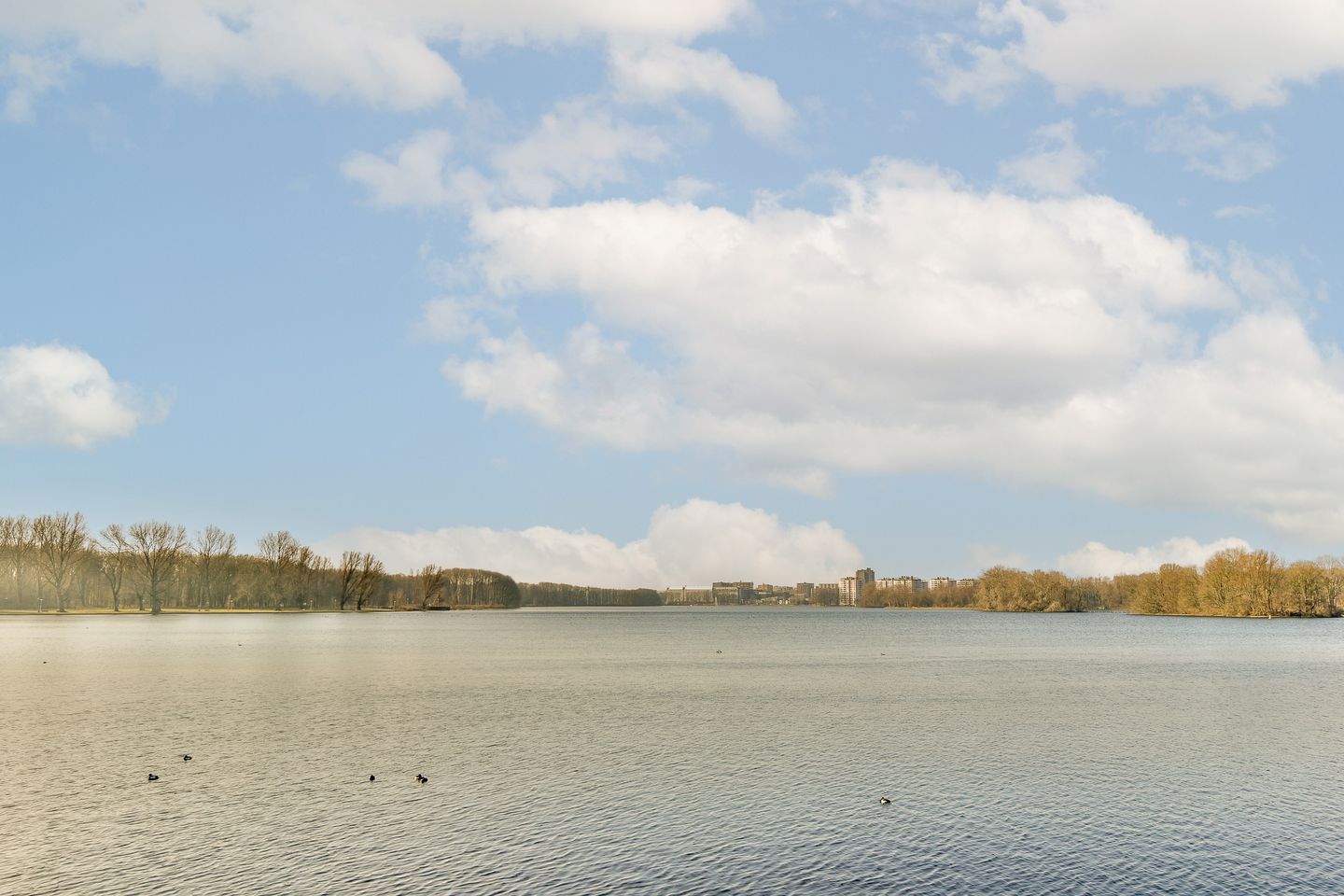 Photo 19 of Burgemeester Hogguerstraat 289