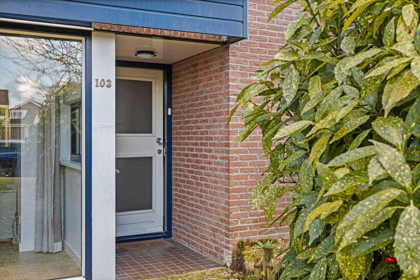 Foto 5 van Patrijsstraat 103