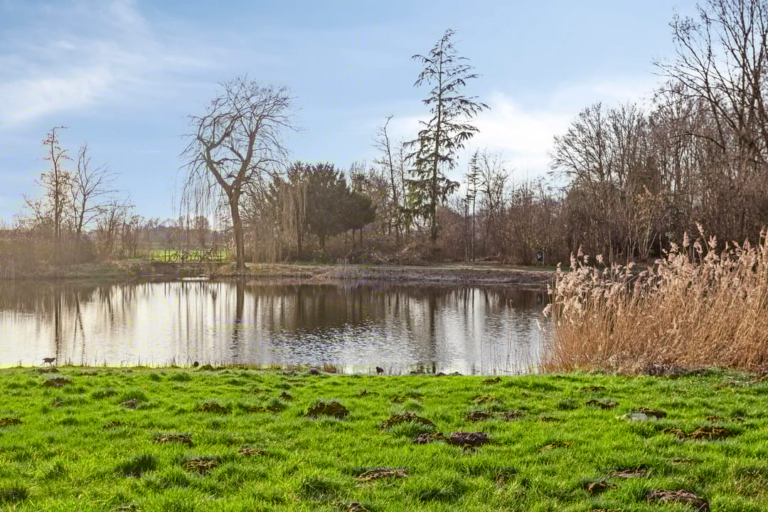 Foto 38 van Patrijsstraat 103