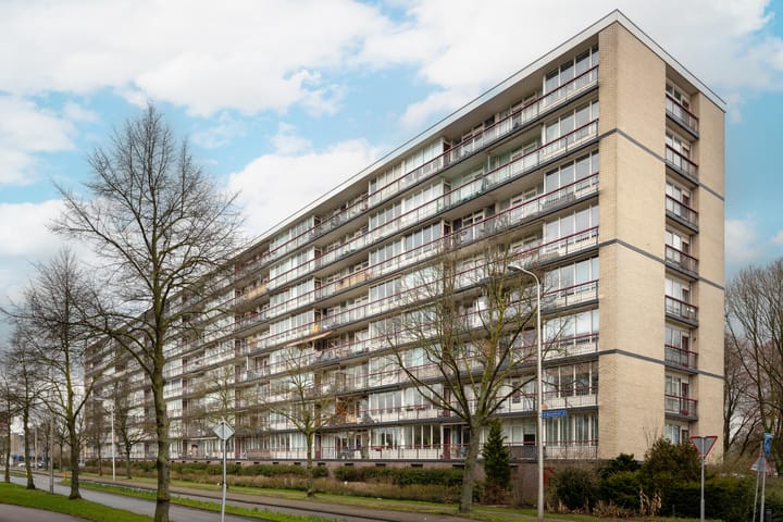 Foto 39 van Korfoedreef 97