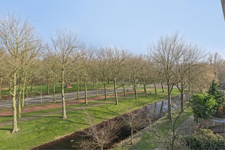 Foto 5 van Klaverruiter 30