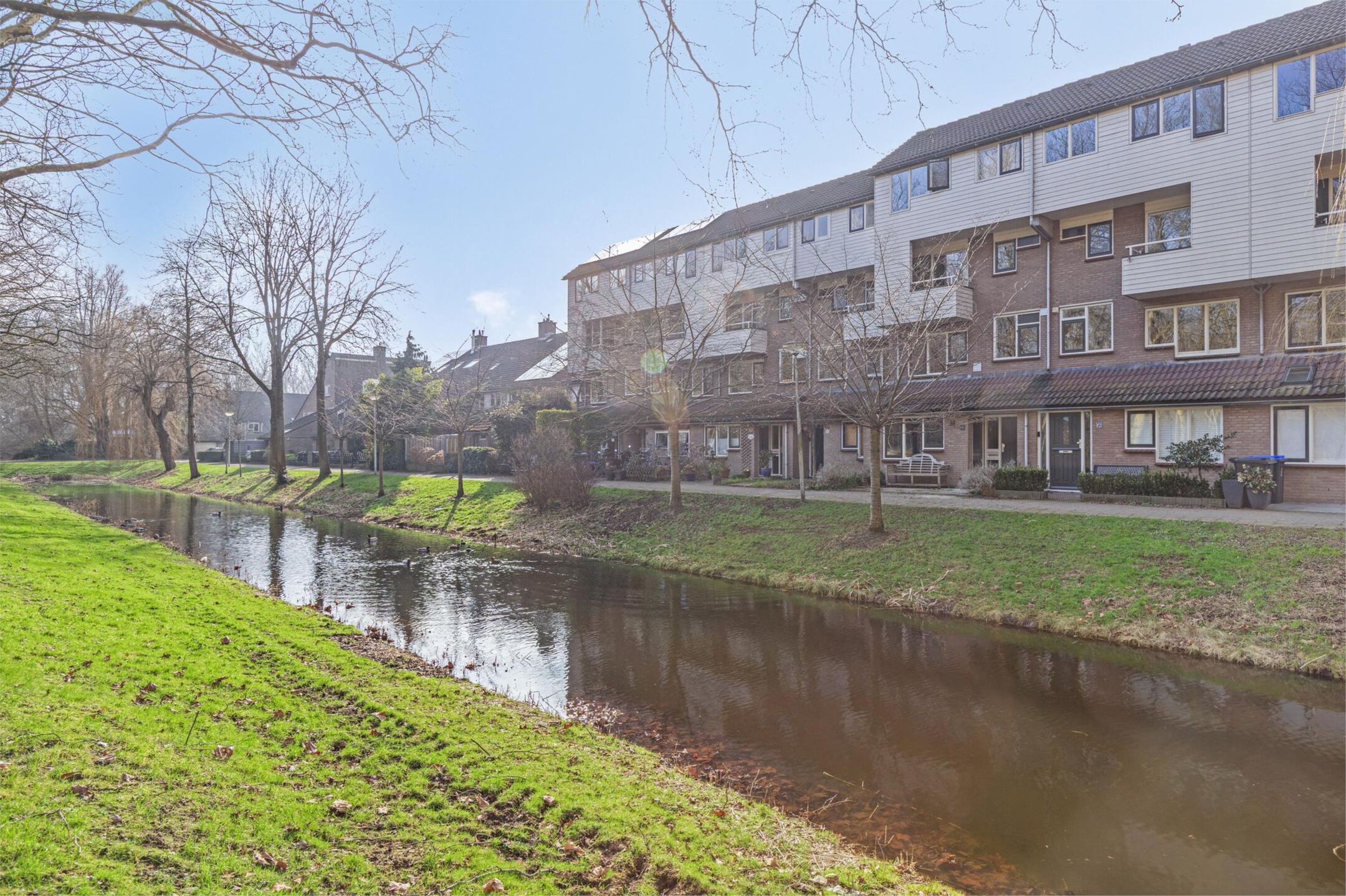 Foto 6 van Klaverruiter 30