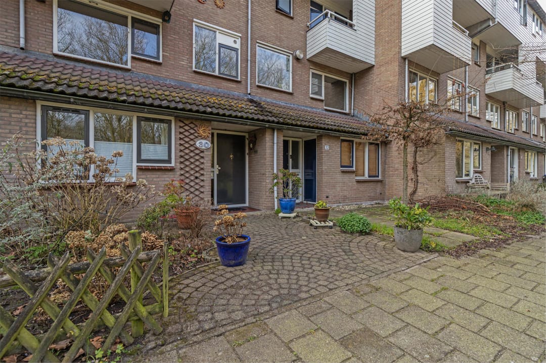 Foto 8 van Klaverruiter 30