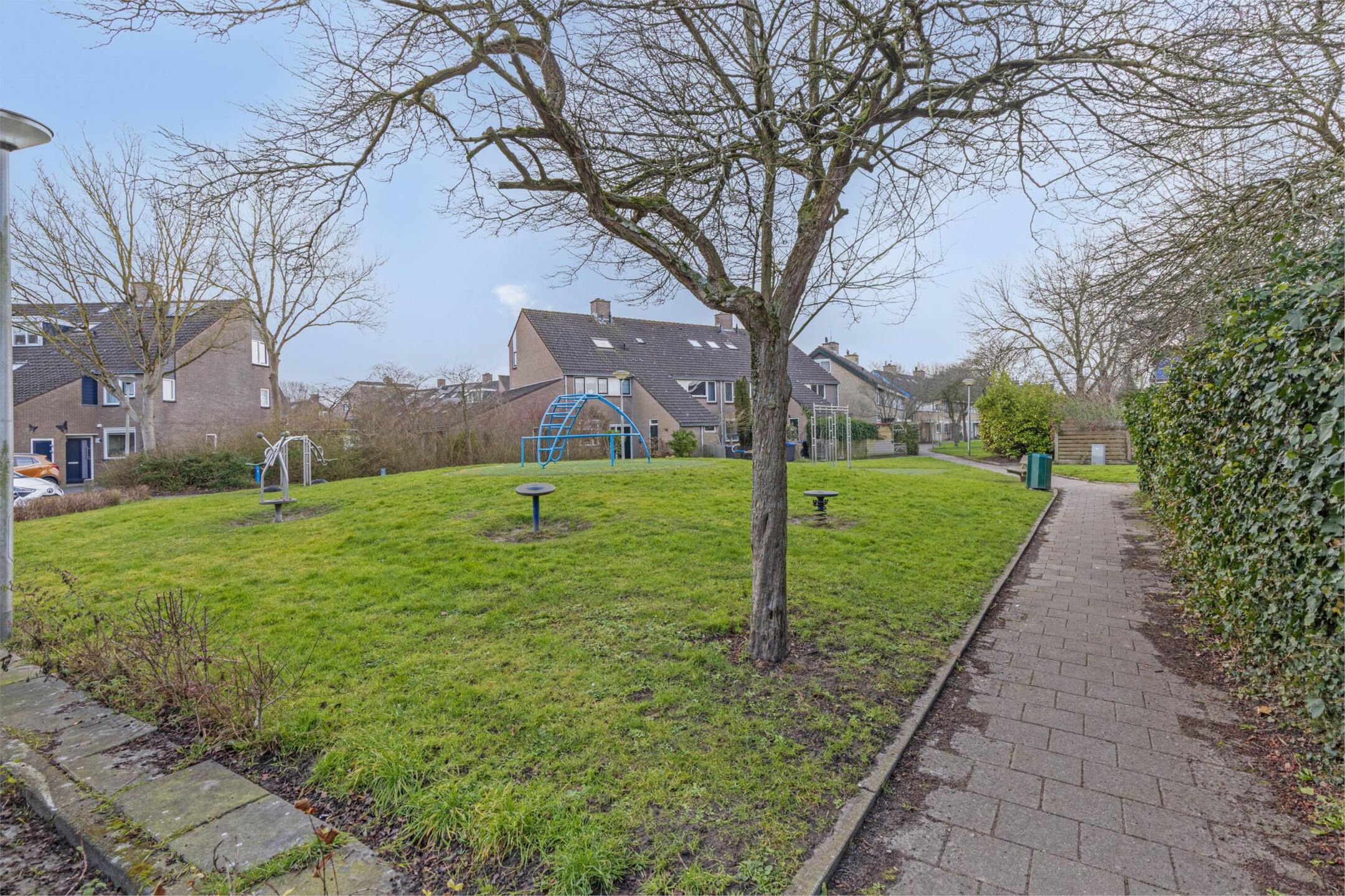 Foto 30 van Klaverruiter 30