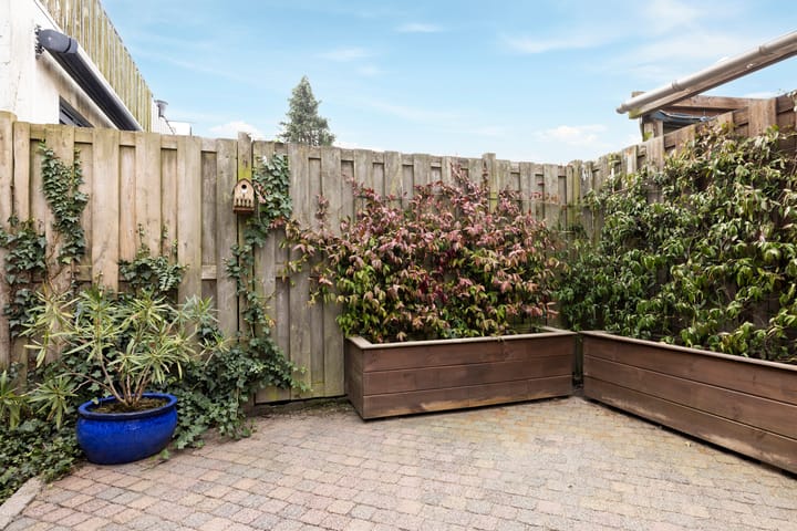 Foto 21 van Oranjeboomstraat 54