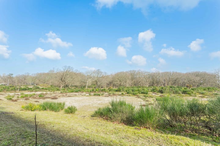 Foto 28 van Ridderspoorweg 114