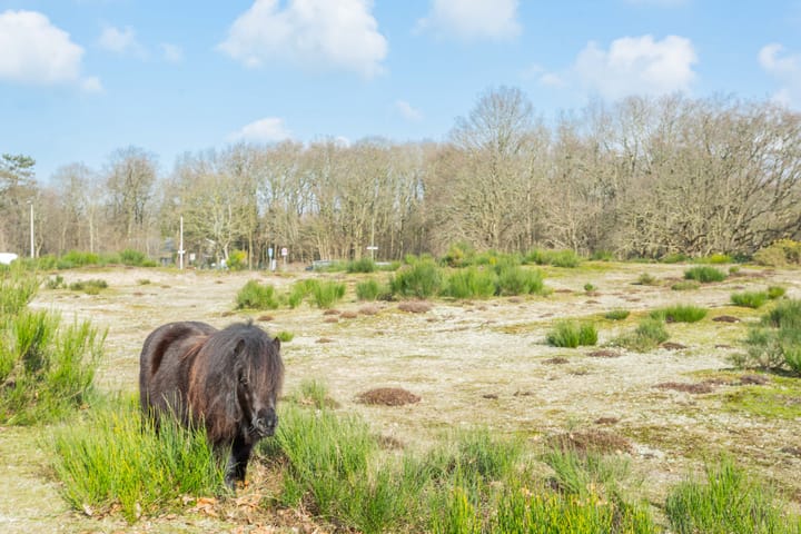 Foto 29 van Ridderspoorweg 114