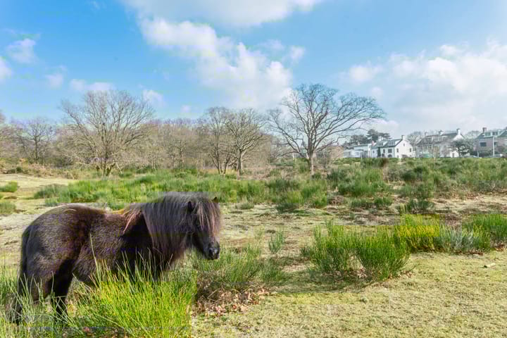 Foto 30 van Ridderspoorweg 114