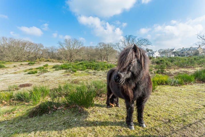 Foto 31 van Ridderspoorweg 114