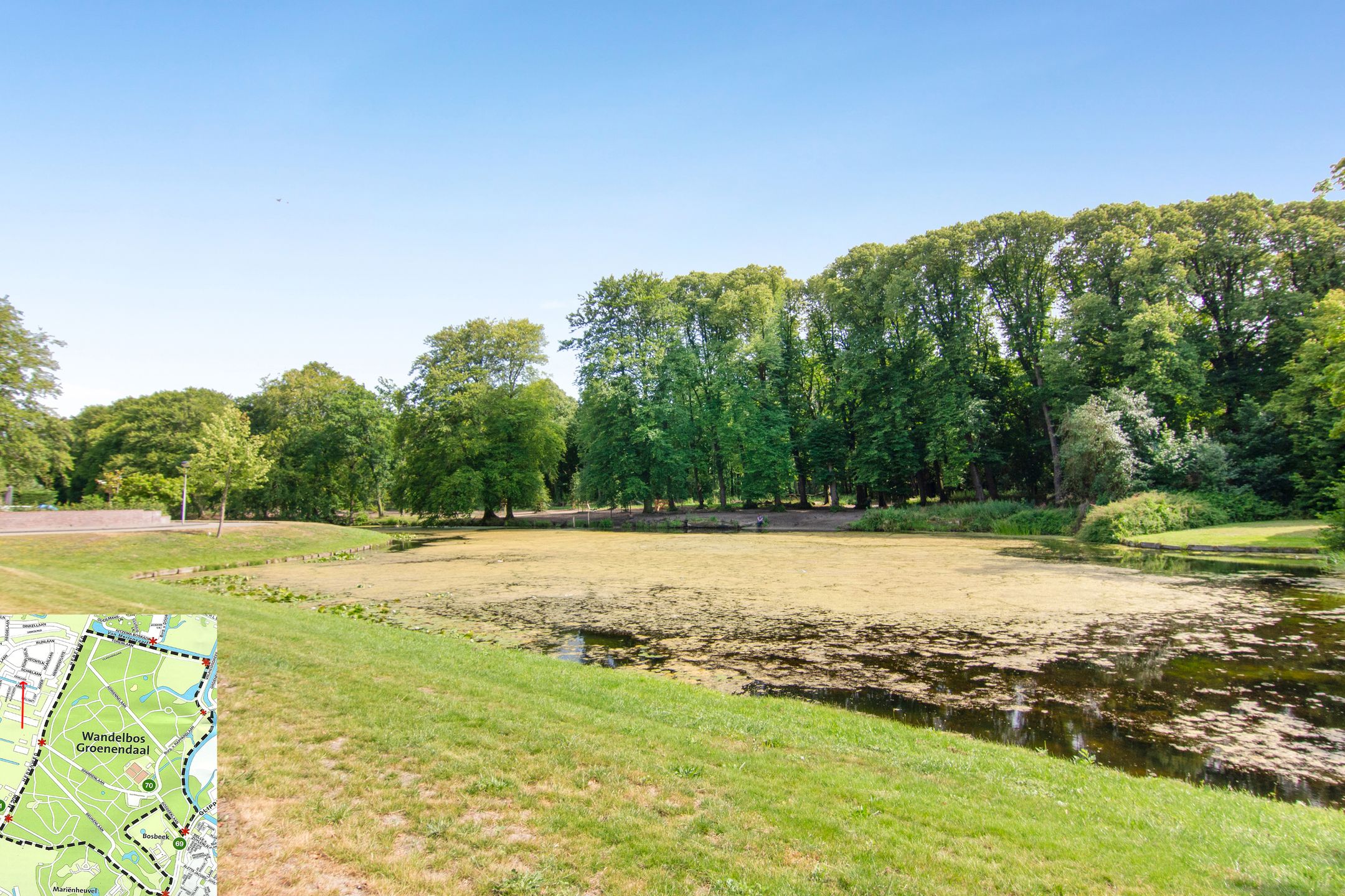 Foto 39 van Scheldelaan 16