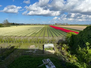 Middenweg 59 secondary image